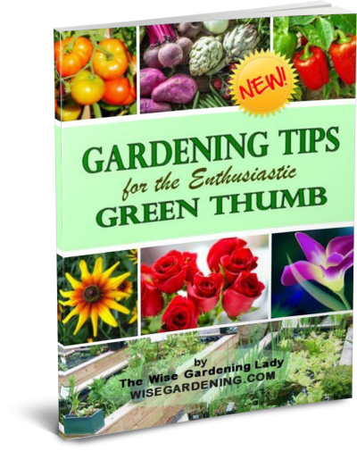 GardeningTips_thinpaperback